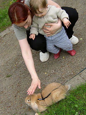 Kyra, Sbini und Meister Lampe